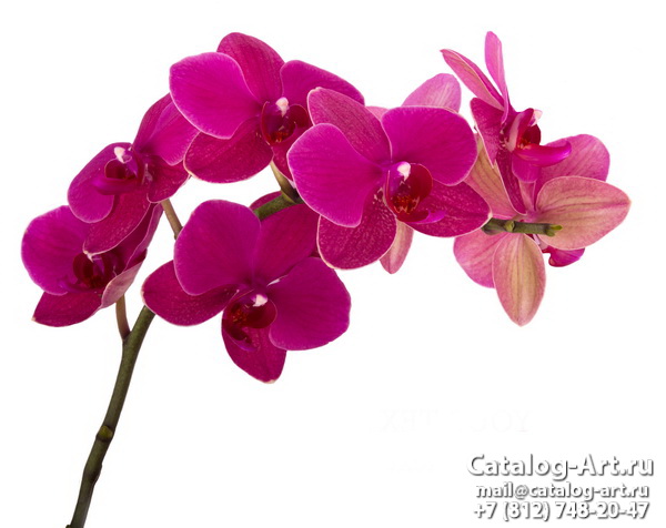 Натяжные потолки с фотопечатью - Розовые орхидеи 71